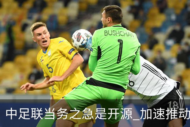 中足联当务之急是开源 加速推动中国足球职业化